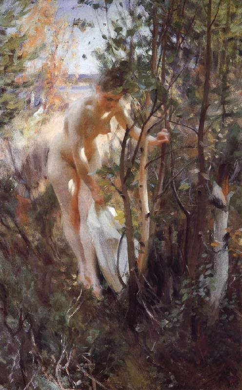 Anders Zorn Unknow work 88 oil painting picture